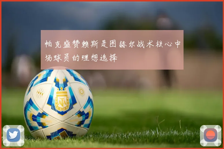 帕克盛赞赖斯是图赫尔战术核心中场球员的理想选择