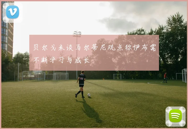 贝尔戈米谈马尔蒂尼观点称伊布需不断学习与成长